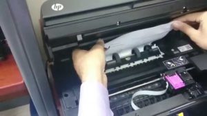 HP Printer Customer Support